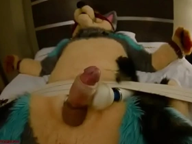 Fursuit post orgasm t.